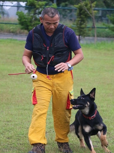 搜救犬服從訓練